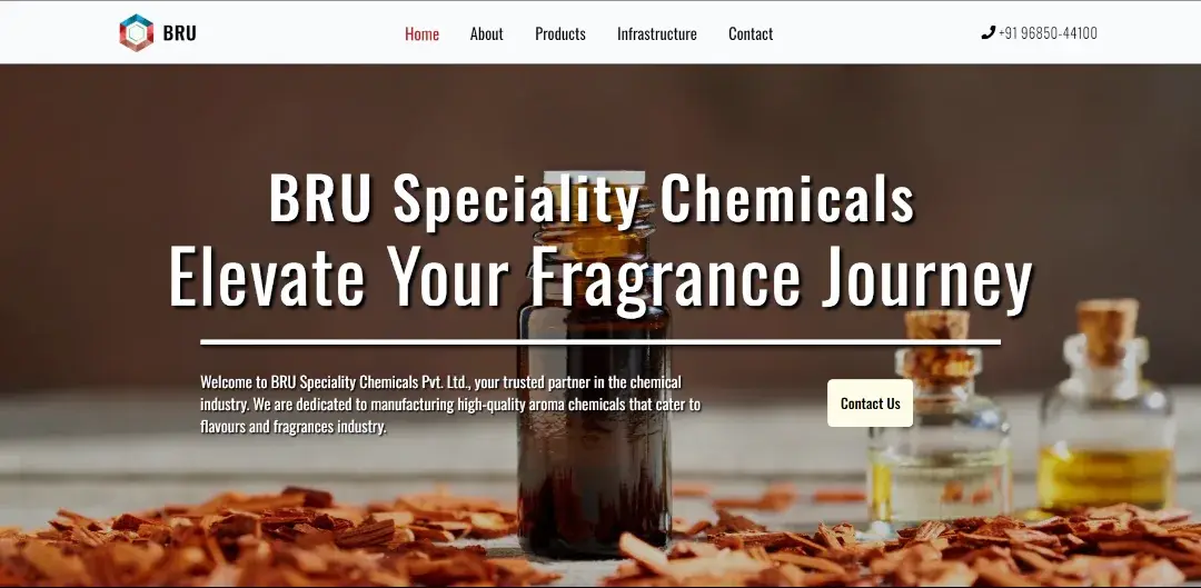 Bru Speciality Chemicals Website project preview